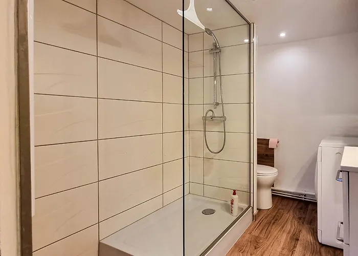 Daire Travel Homes - Newgate 1, Elegant, Heart Of Colmar